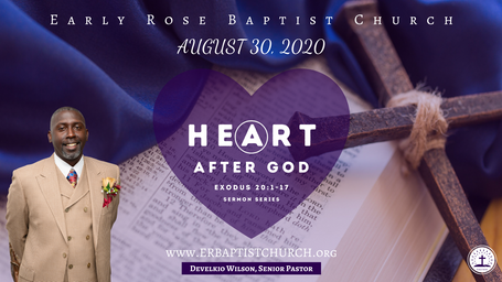 Early Rose: August 30, 2020